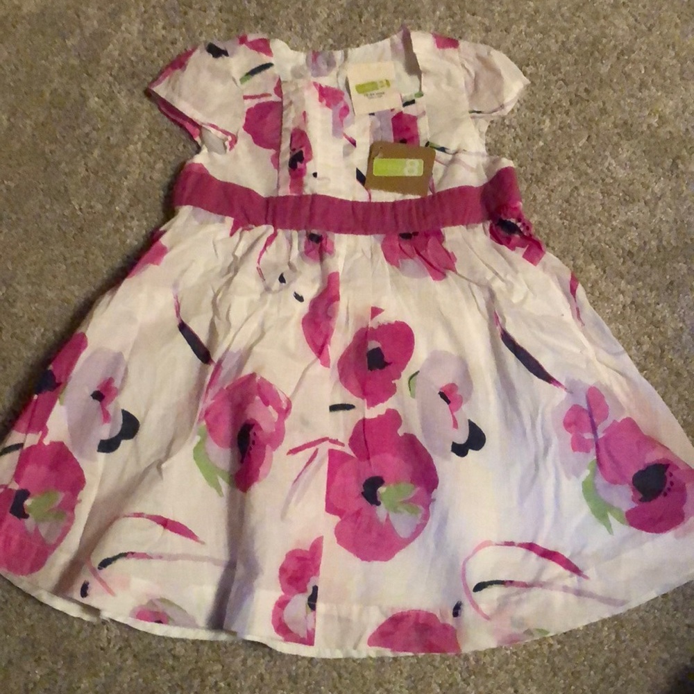 NWT Crazy 8 white pink floral dress